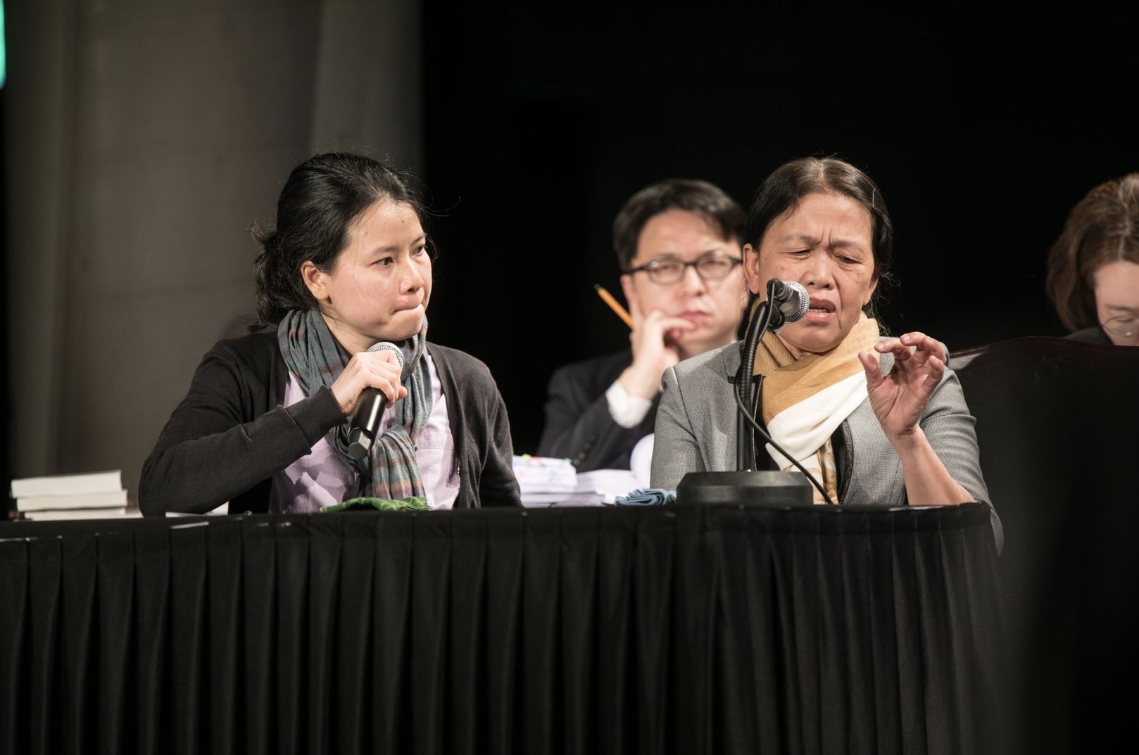 2. Nguyễn Thị Thanh from Hami Village gives her testimony (Photo from: The People’s Peace Tribunal Preparatory Committee)