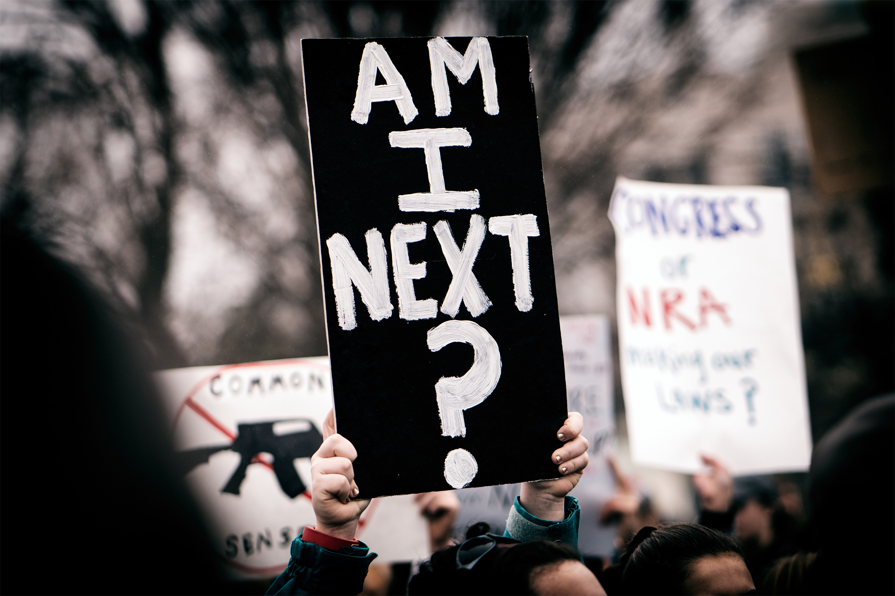 #Am I Next movement 2018 ⓒ Lorie Shaull/Wikimedia Commons