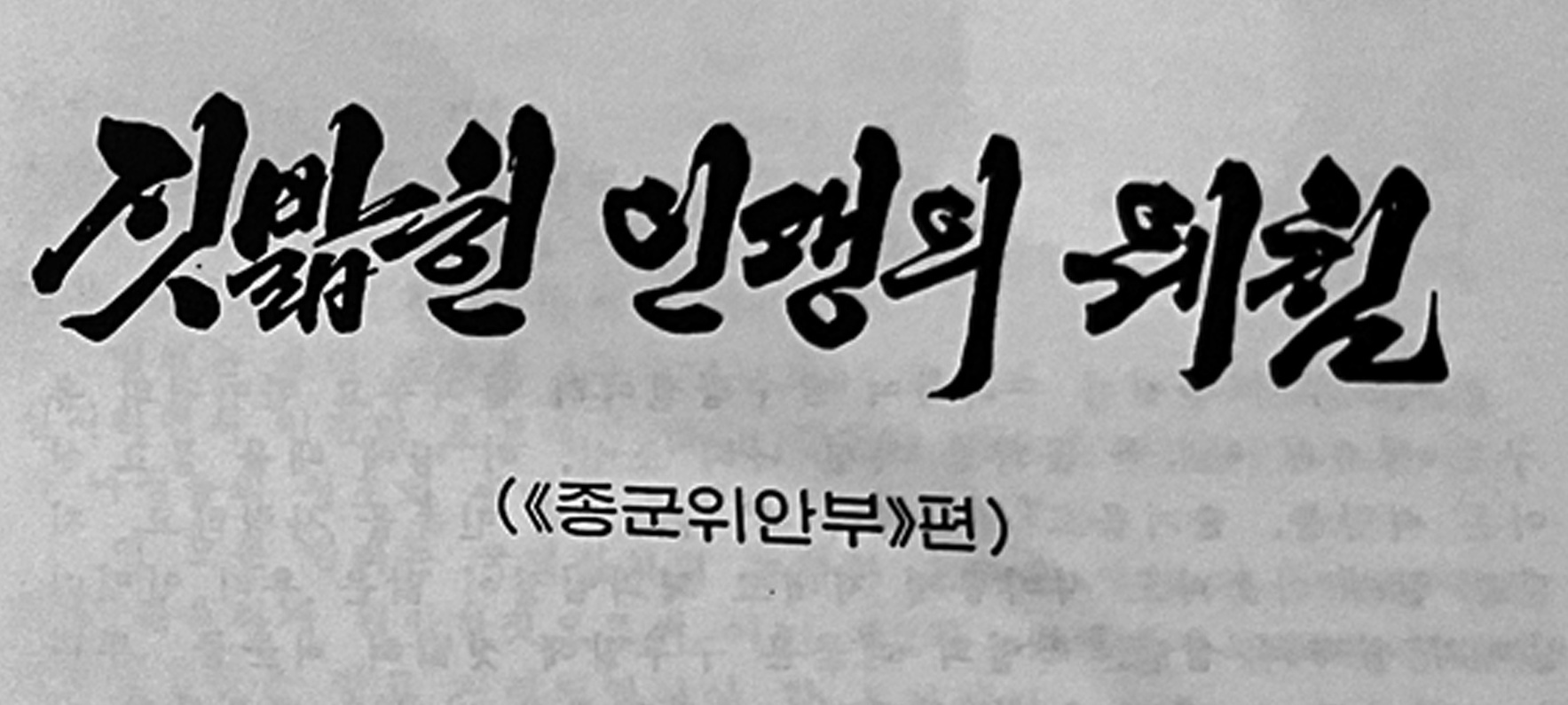 『짓밟힌 인생의 웨침』. 1995년 &lsquo;보상대책위원회&rsquo;가 발간한 증언록의 표지. 북한의 생존자 리경생, 박영심을 포함한 40명의 피해자 증언이 수록되어 있다.