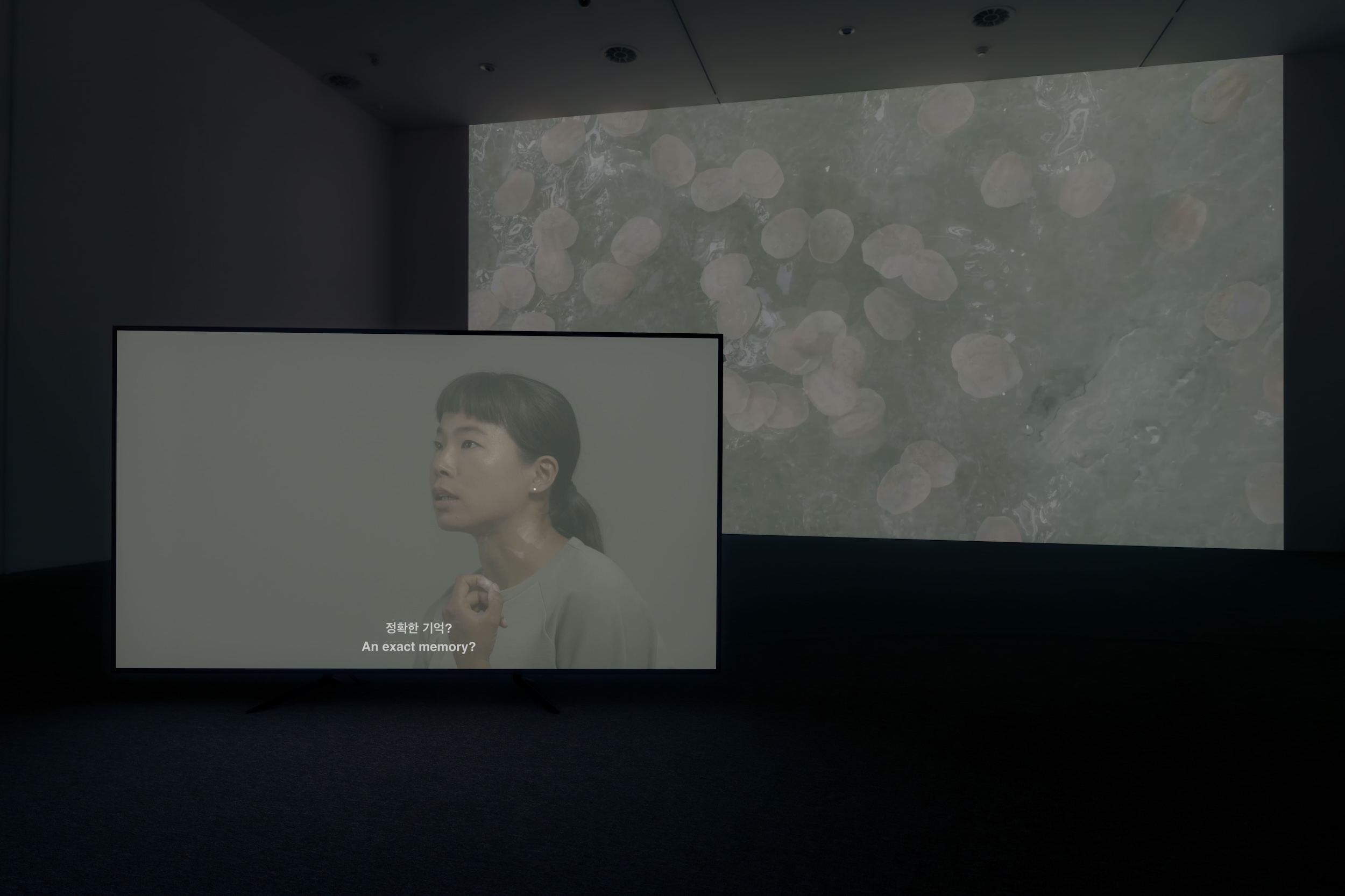 《소장품섬_최찬숙:밋찌나》 전시 일부  (사진제공 : 부산현대미술관)