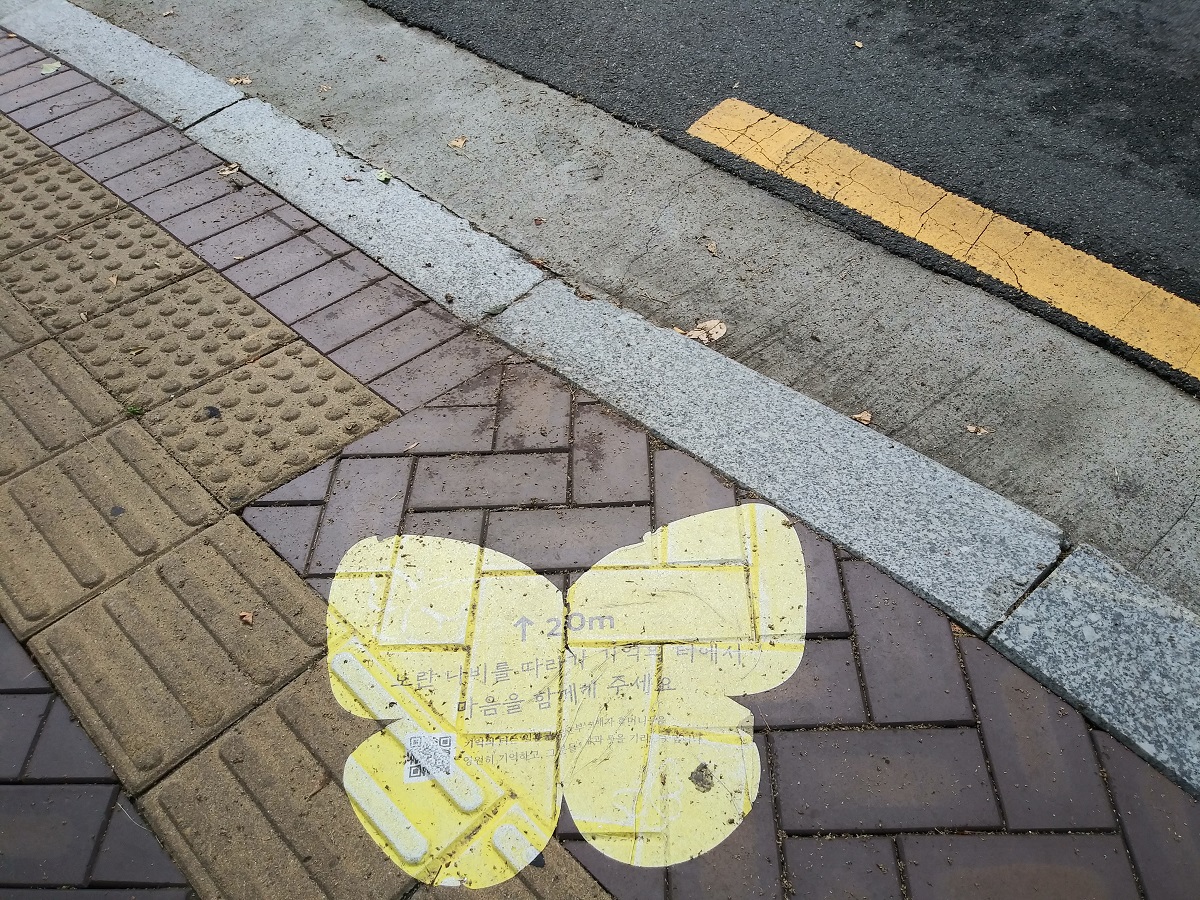 기억의 터 앞 나비 표지 ©오하라미