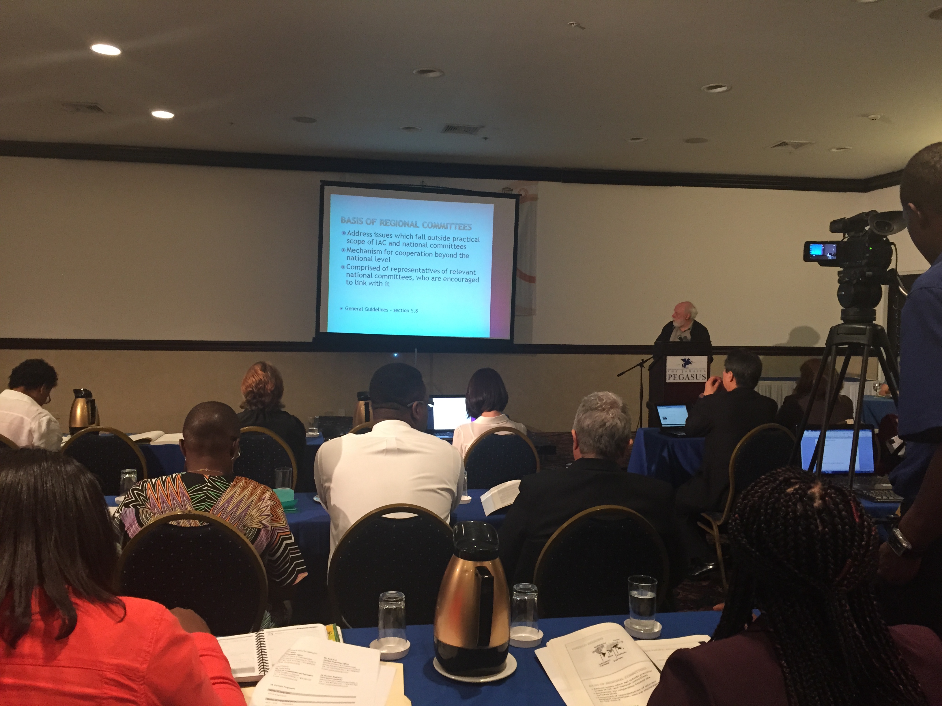 [Photo 4] Expert Advisory at the 2015 Jamaica Conference