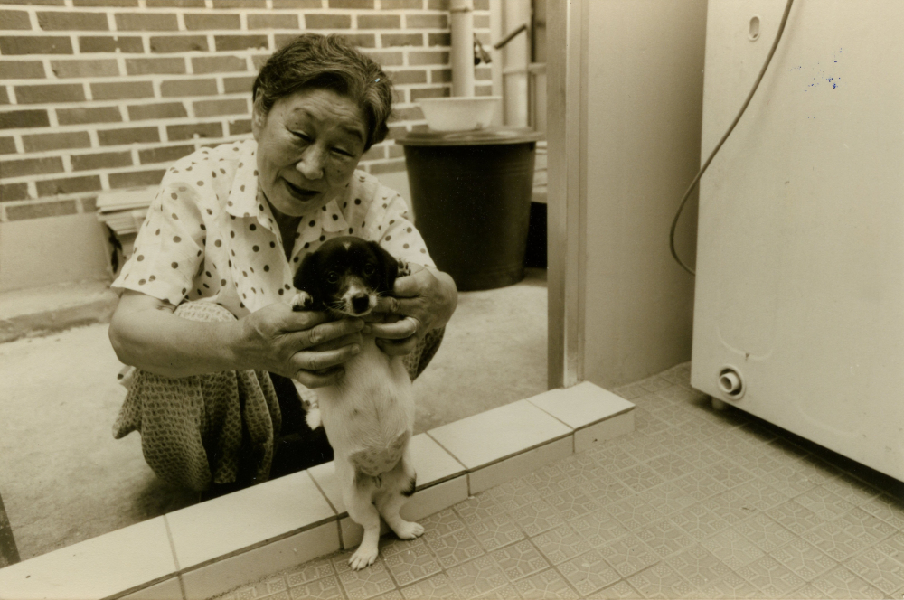 김복동이 나눔의집에서 강아지를 안고 웃고 있다. (사진 제공 : 나눔의 집)