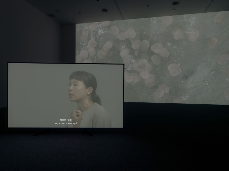 최찬숙 밋찌나 전시 스케치 (사진제공 : 부산현대미술관)
